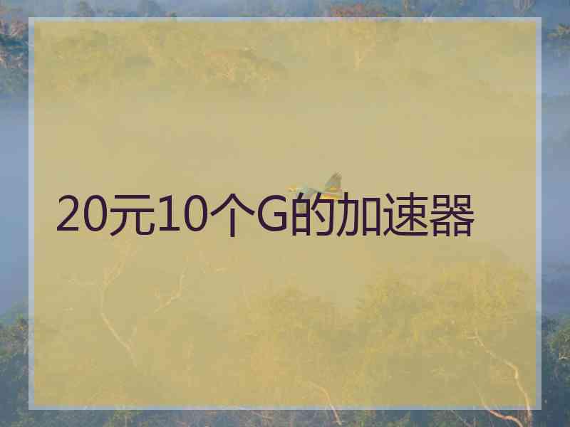 20元10个G的加速器