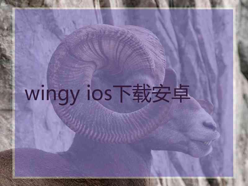 wingy ios下载安卓