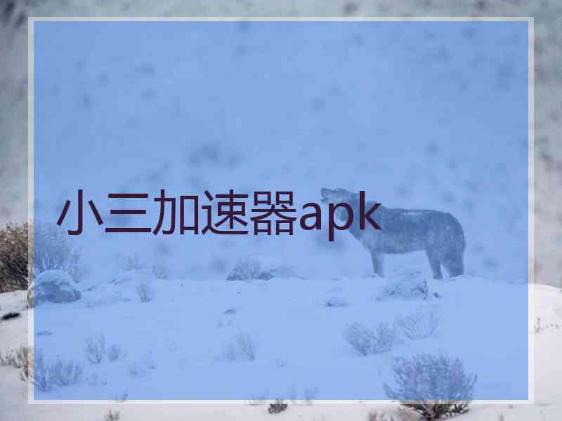 小三加速器apk