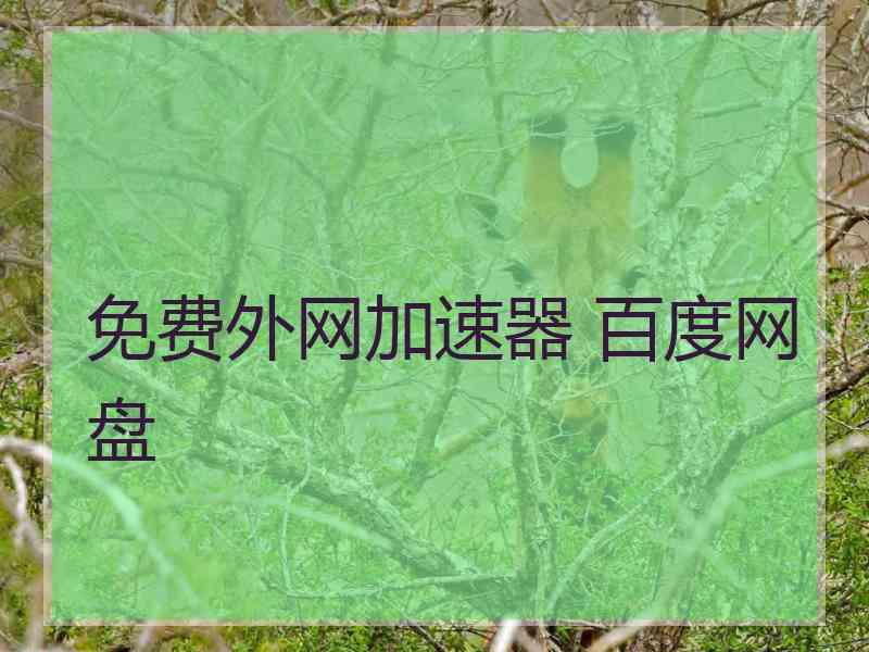 免费外网加速器 百度网盘