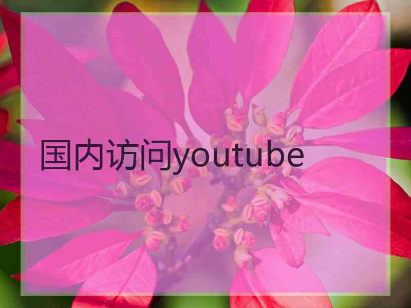 国内访问youtube