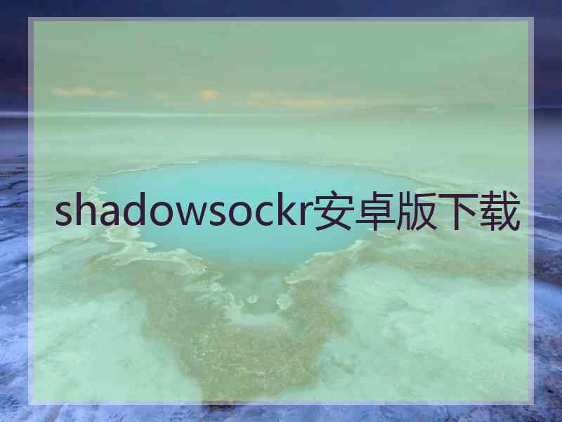 shadowsockr安卓版下载