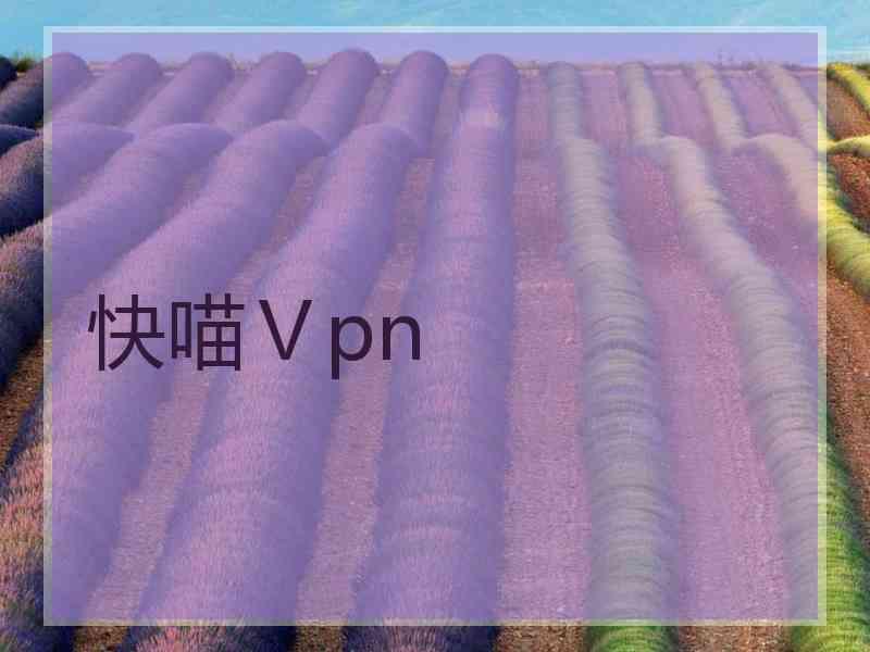 快喵Ⅴpn