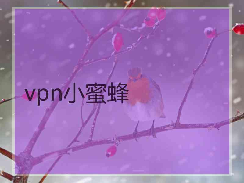 vpn小蜜蜂